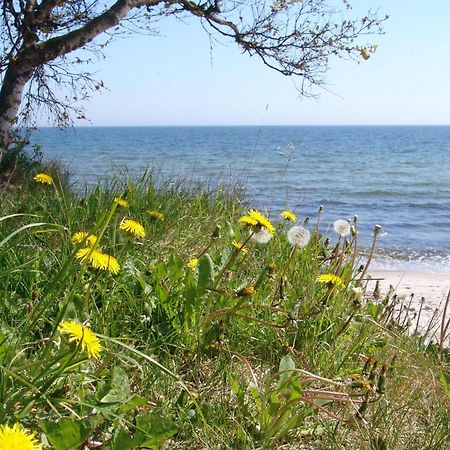 Ystad Camping Exteriér fotografie